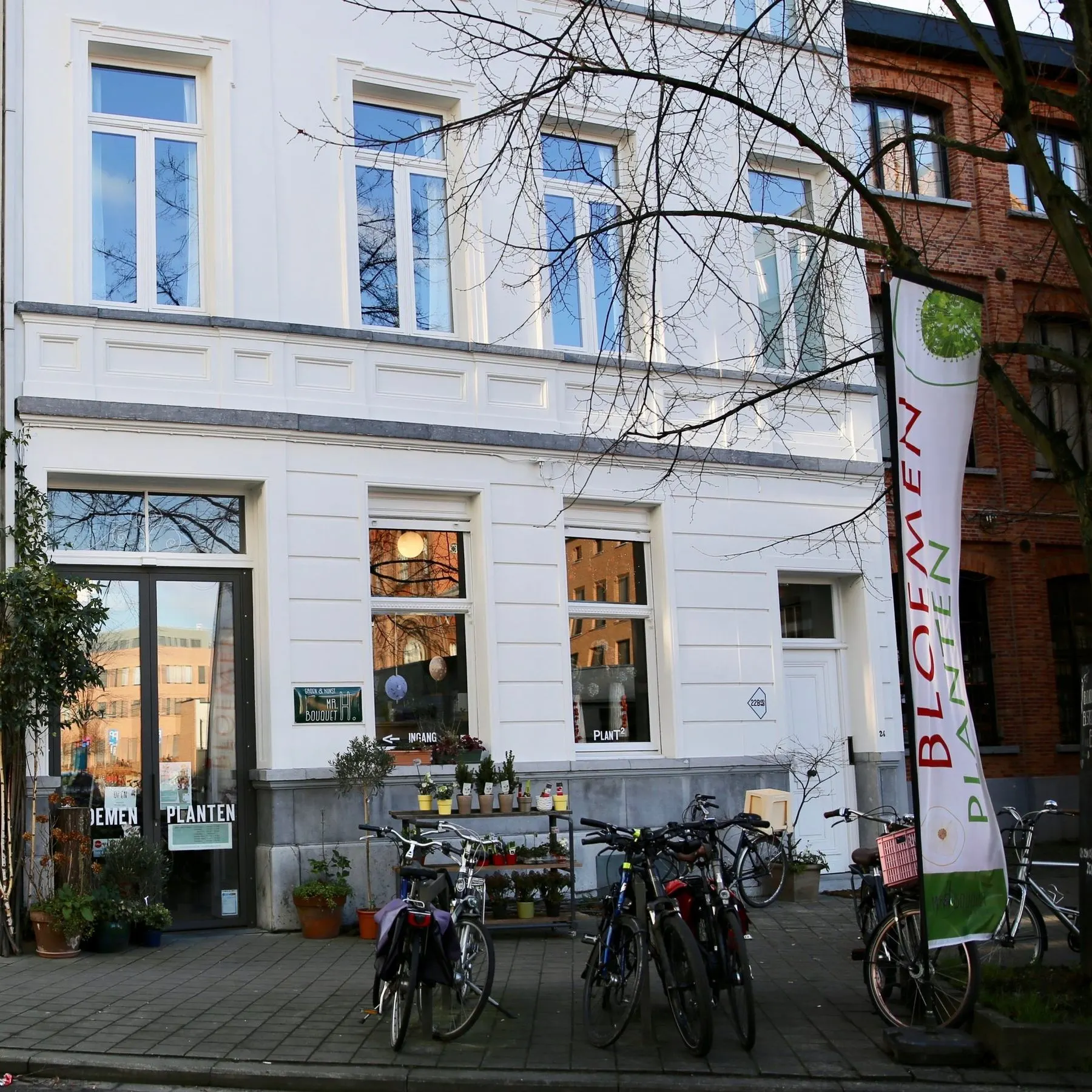 17014 Mr Bouquet Sint Vincentiusstraat Antwerpen – Plantenrekken, inkomdeur (1)