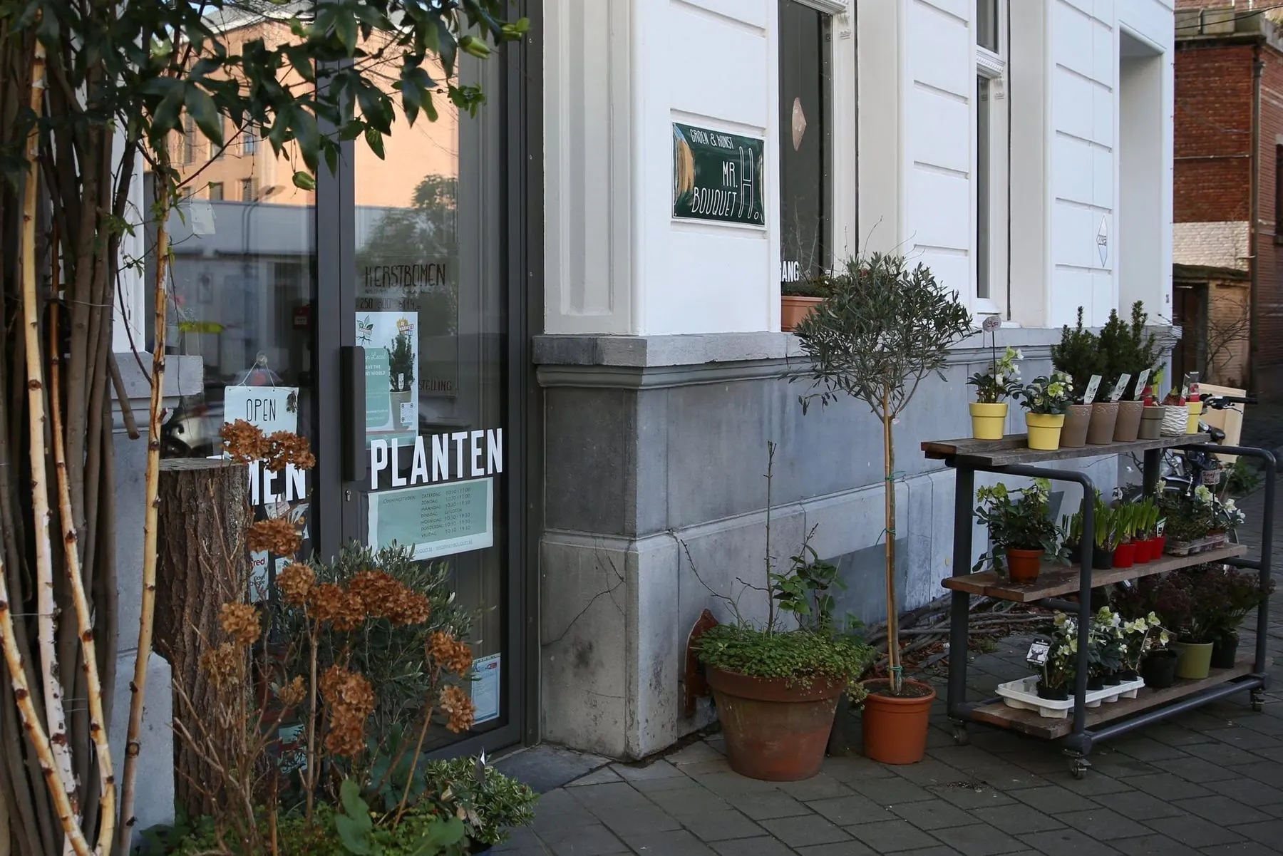 17014 Mr Bouquet Sint Vincentiusstraat Antwerpen – Plantenrekken, inkomdeur (2)