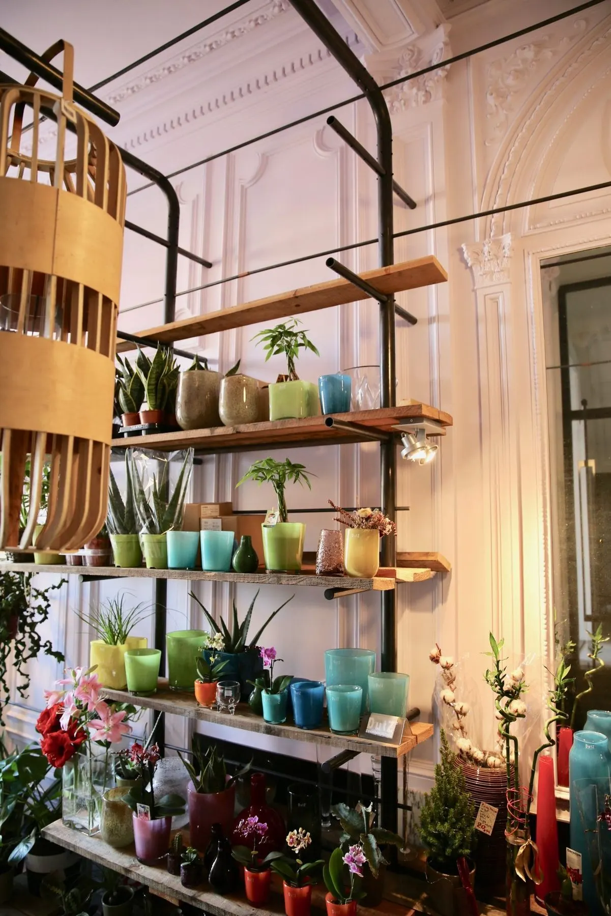 17014 Mr Bouquet Sint Vincentiusstraat Antwerpen – Plantenrekken, inkomdeur (3)