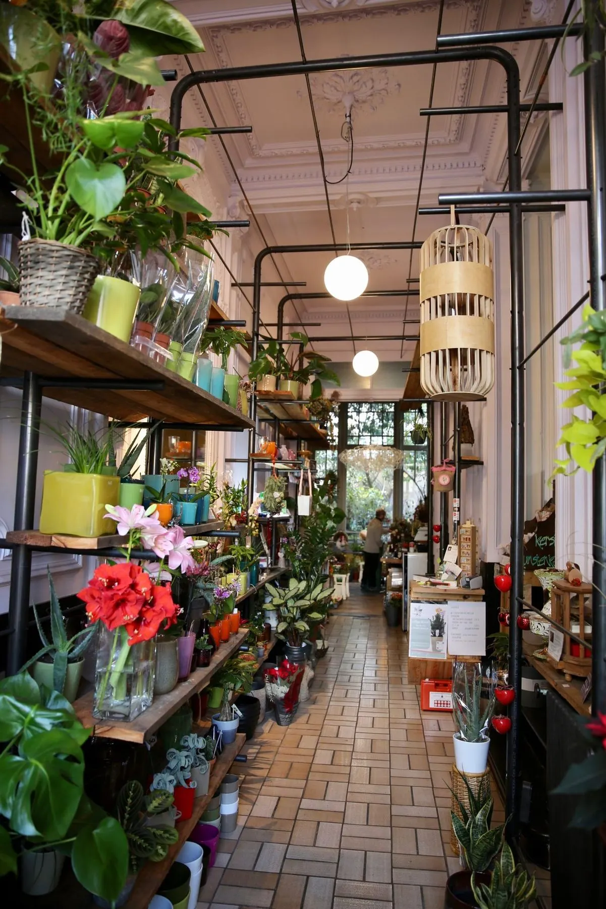 17014 Mr Bouquet Sint Vincentiusstraat Antwerpen