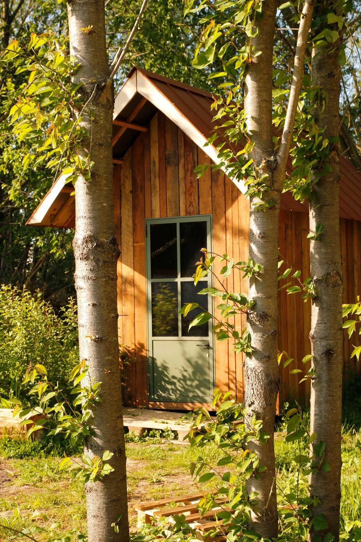 19102 Cabane – Cabane (5)